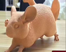 3D打印紅蠟動物模型