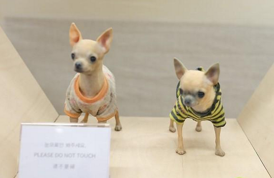 全彩3D打印寵物狗模型